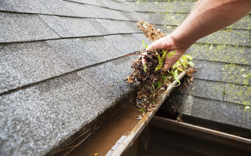 Gutter Cleaning in Maesteg