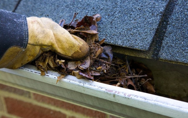Gutter Cleaning in Pyle